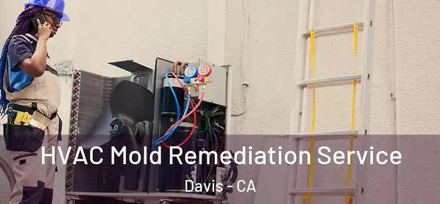  HVAC Mold Remediation Service Davis - CA