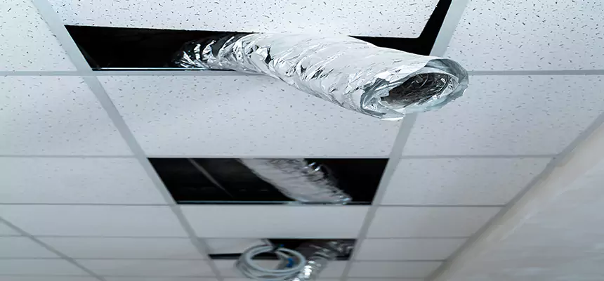 Our Air Duct Pet Hair Removal Services in Davis, CA