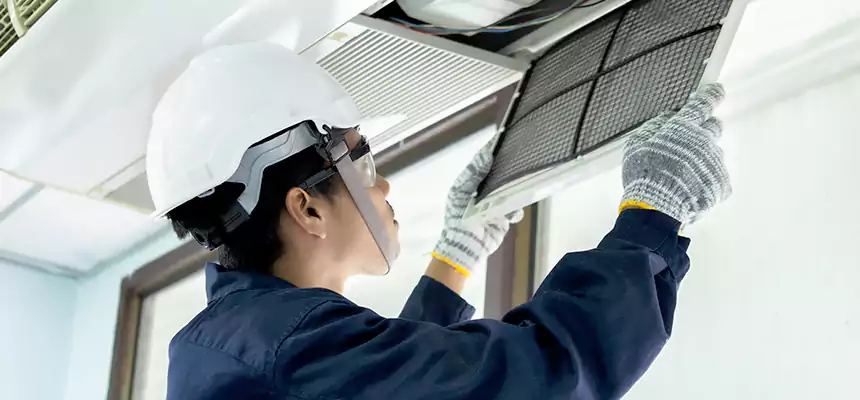 Our Mold & Mildew Removal from Air Ducts Services in Davis, CA