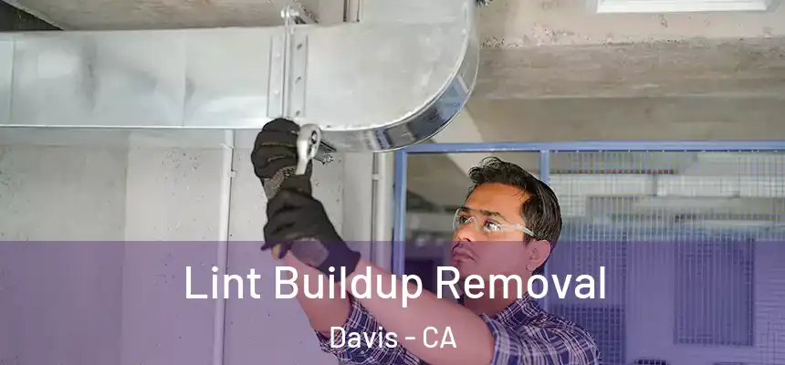  Lint Buildup Removal Davis - CA