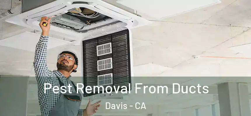 Pest Removal From Ducts Davis - CA