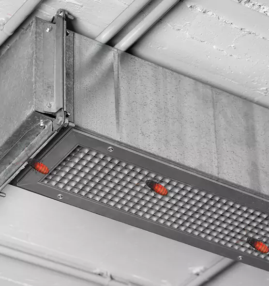 About Air Duct Cockroach Removal in Davis, CA