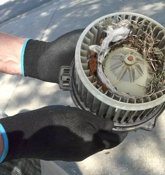 About Air Duct Mice Removal in Davis, CA