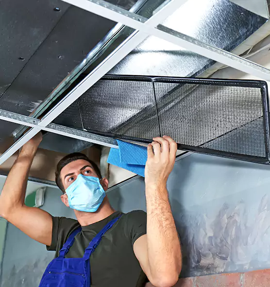 Professional Air Duct Pollen Cleaning in Davis, CA