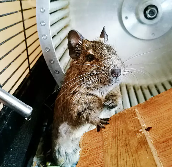 Why Homeowners & Businesses Trust Us Davis, CA