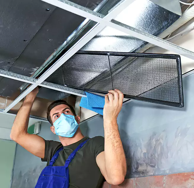 Why Homeowners Businesses Trust Us in Davis, CA