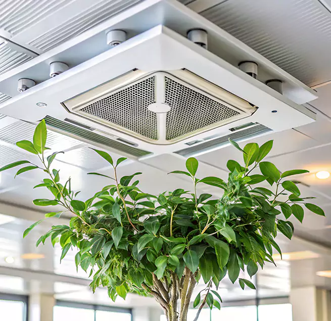 Why Homeowners & Businesses Trust Us in Davis, CA