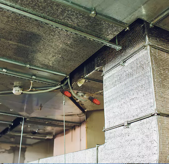 Why Homeowners & Businesses Trust Us Davis, CA?